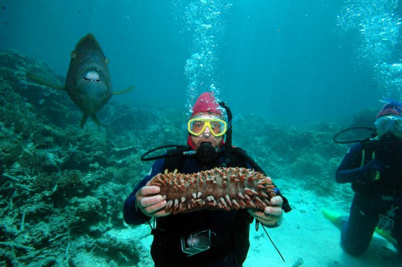 GBR