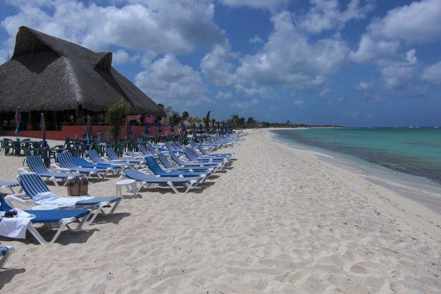 Swine Flu at Mr. Sancho’s Beach Club, Cozumel