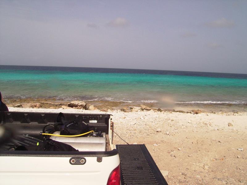 Diving made simple in Bona