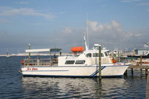 Scuba Tech’s Dive Boat "Sea Cobra"