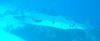 cozumel