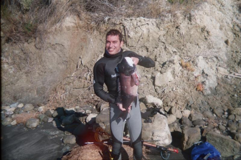 male sheephead (now my dinner)