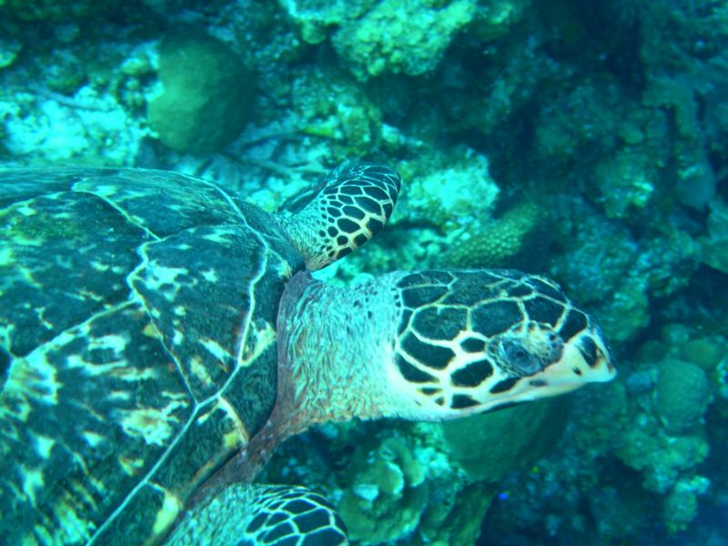Belize