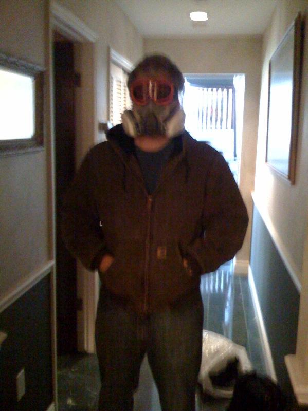 Mold is dangerous... and doesn’t pay well