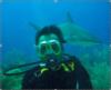 Shark Dive