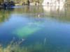 Underwater phone booth at Mermet Srings IL.