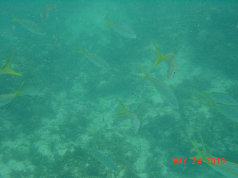 Punta Cana Snoba