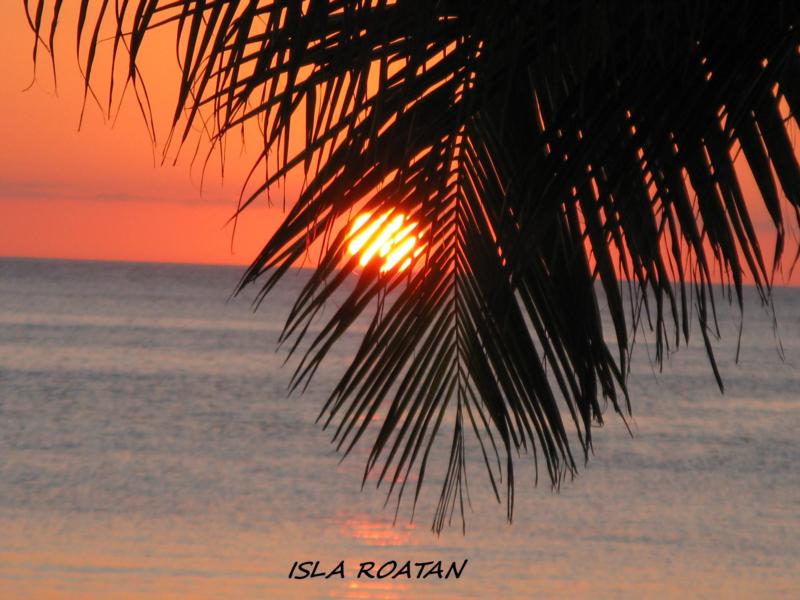 An evening in paradise. Isla Roatan