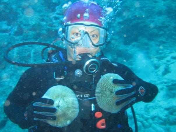 Fiji diving