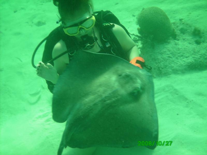 Stingray City
