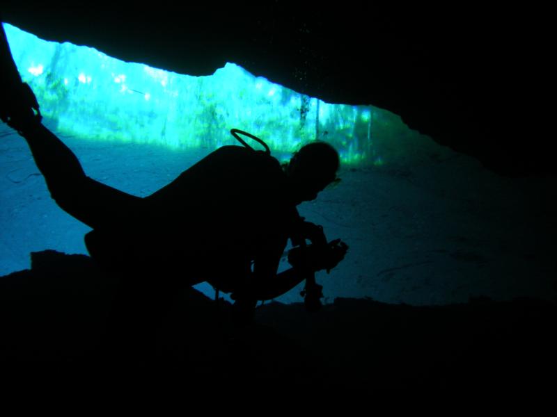 Rainbow Cenote in Chikin Ha, Cozumel....check out the jungle through the water.