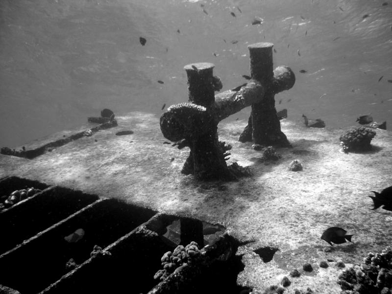 malayan wreck, Tubbataha reef, Sulu sea, Philippines