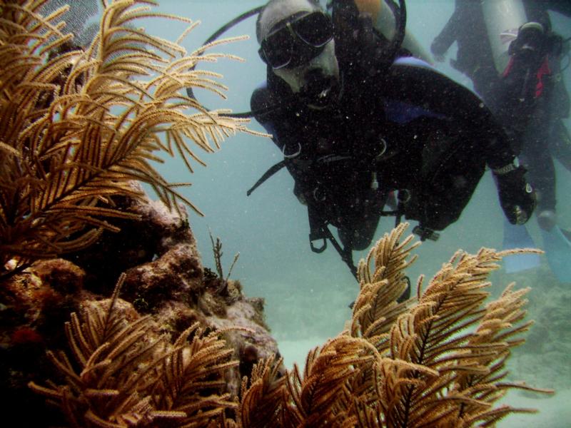 Key Largo - French Reef