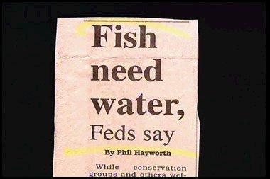 breaking news: fish need water