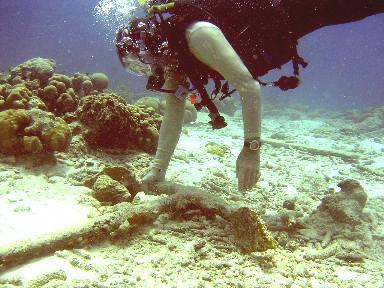 Bonaire