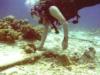 Bonaire