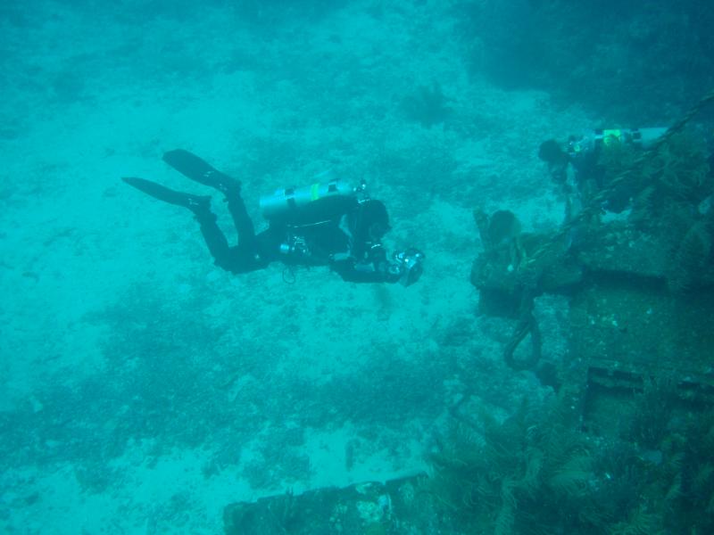 Mare @ Roatan, Honduras 2007