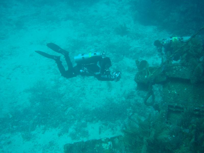 Mare @ Roatan, Honduras 2007