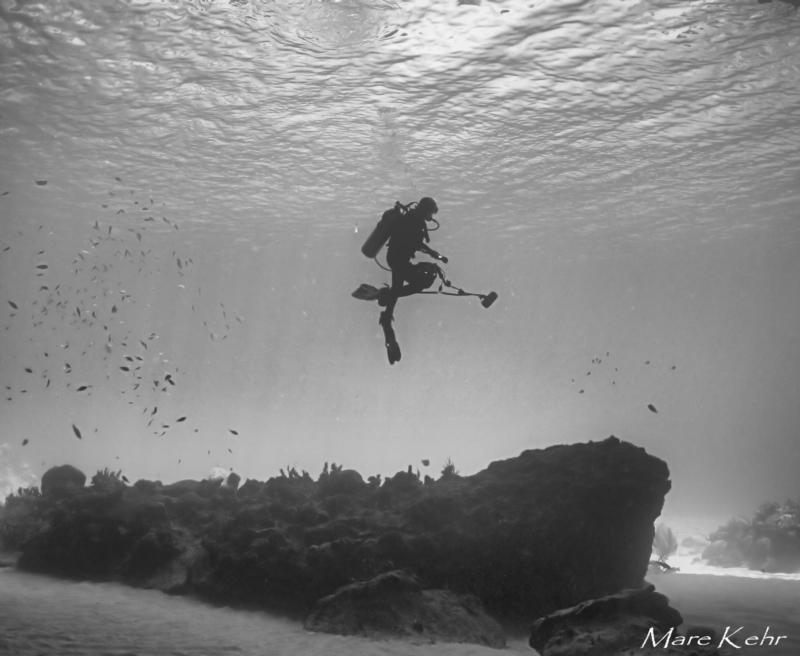 diver in Blue Room ,Curacao 8/2009