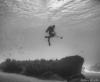 diver in Blue Room ,Curacao 8/2009