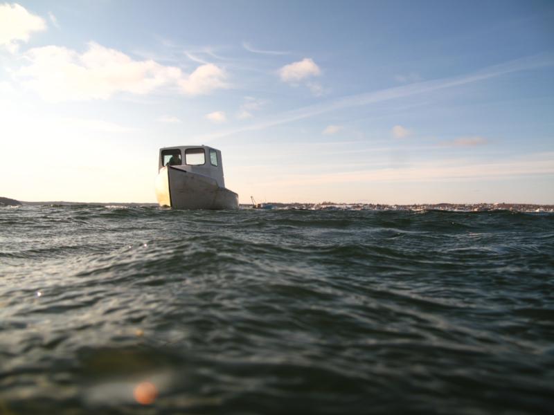 Diving for a salmon farm. Here comes my ride!!