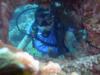 scubatam in Bonaire