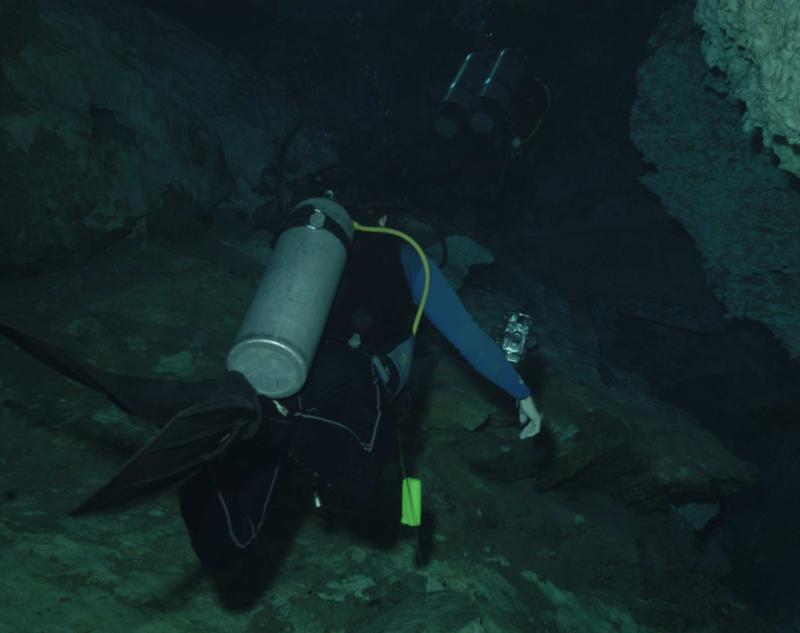 CaveDiver