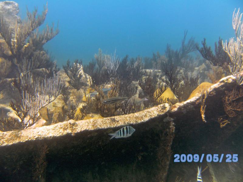 Reef at the wreck of the Lartington
